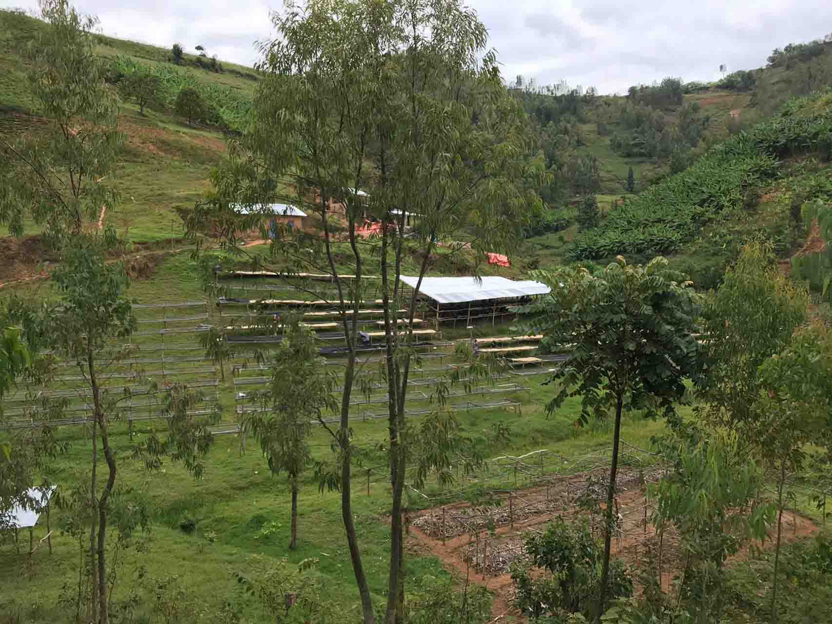 Die Kyumba Washing Station. Quelle: Touton Specialities Coffee Die Kyumba Washing Station