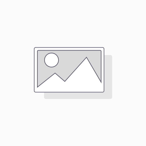 Lizenzgebühren (Apps, EDV Gebühren - Shopify, Crewmeister, Canva...)